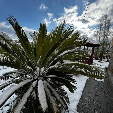 Toskański Zakątek Pensjonat