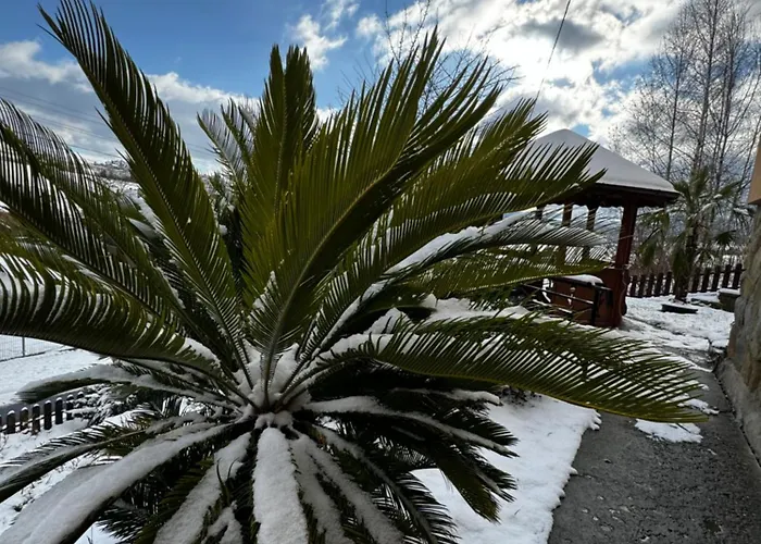 Toskanski Zakatek Pensión